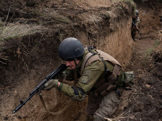 ������� �������� �������� ������������ ������� �� ������ ������������� �������