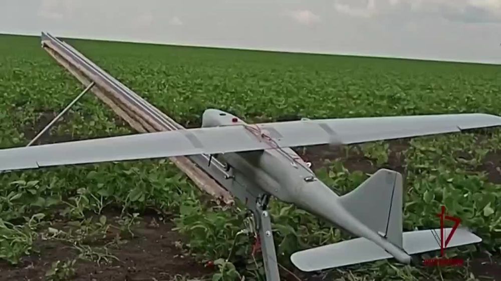 ����������� ���������� �������� ������� � ����� ���� ���