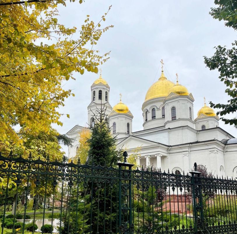 ��������� ������� ����������� ������� 11 ������ � ������������ ������ �����������