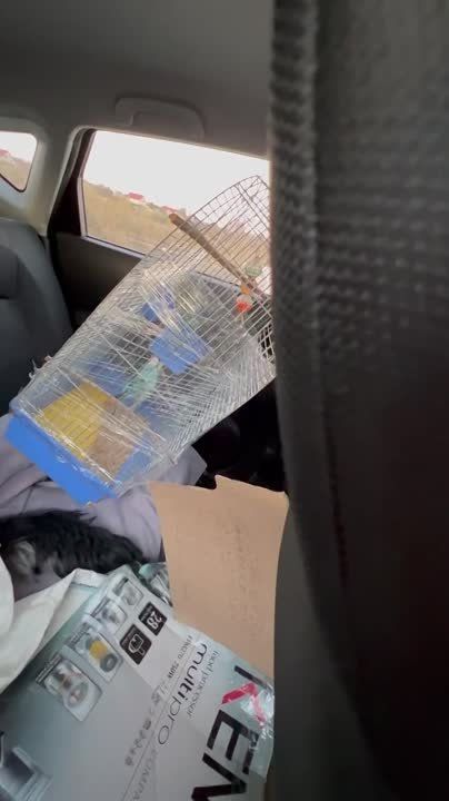 ������� ����������: ����� � ������� �� ����� ���������� �� ������� ���������� ���� ����� �����