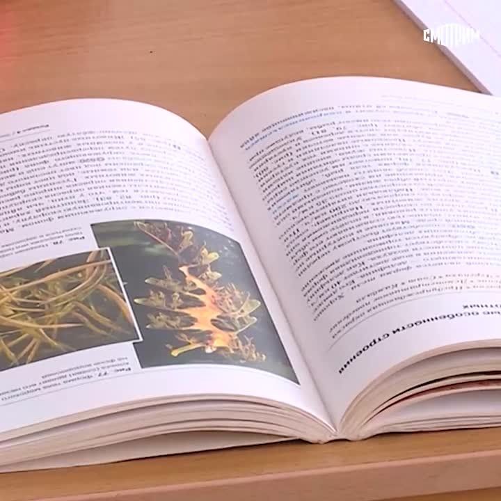 � ������������� ���� ����, �������������� �� ���������� �������, ����� � �����