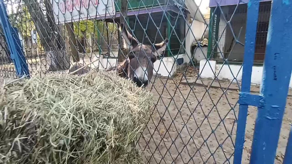 ���� ���������: ������� ������� �� ���������� ������� - �� ������� ������ �����! ����� �� ���������� ����� - �� ����� ������:) ����� �� ���������