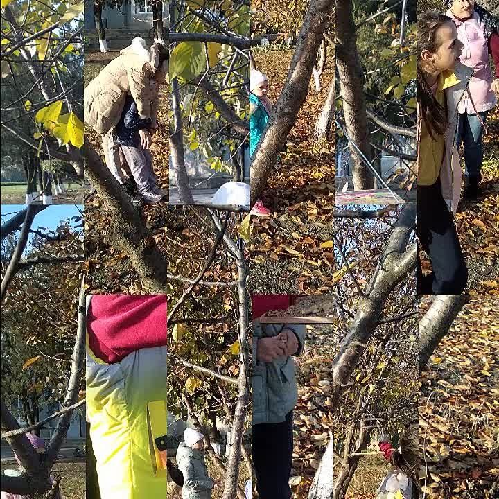 �������� ���� - 12 ������. � ���� ���� ���� ��������� � ������� "������ ������"-����, ������ � �����������...