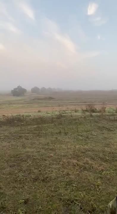 ������� ������� ���������� ���������������� Mastiff ��� �� ���������� ����������� ������