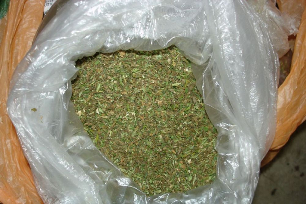 � ��������� ����������� ���������� �� ���������� �������� ������������ ����� 10 �� ���������