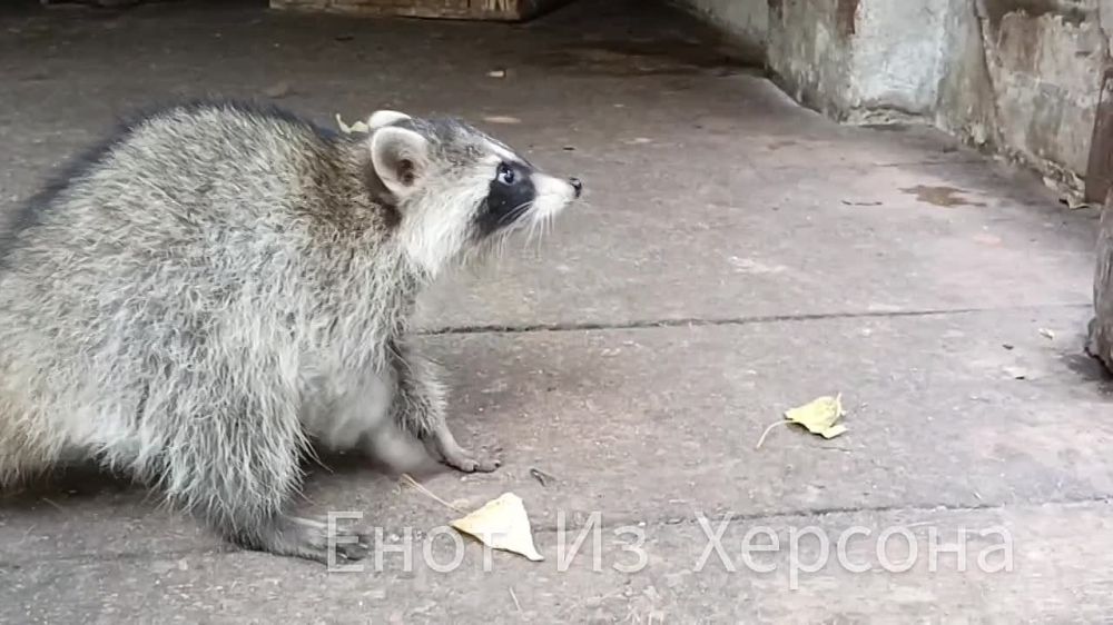 ����� �� ����� ��������. ��� ��� � ��� ������ - � ��������� ������. �������� �� ���� ������. � �������. ������ � ���� ����...