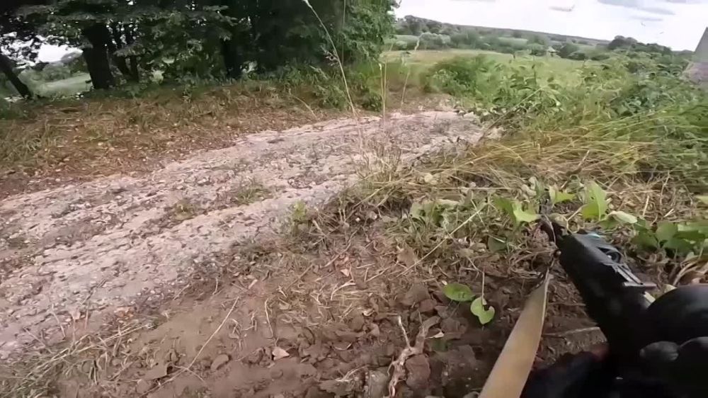 13 ������ � ����������� ����� ���������� ��������� ���������� ���� ����������� ����� ������������, ����������, ������������� ������