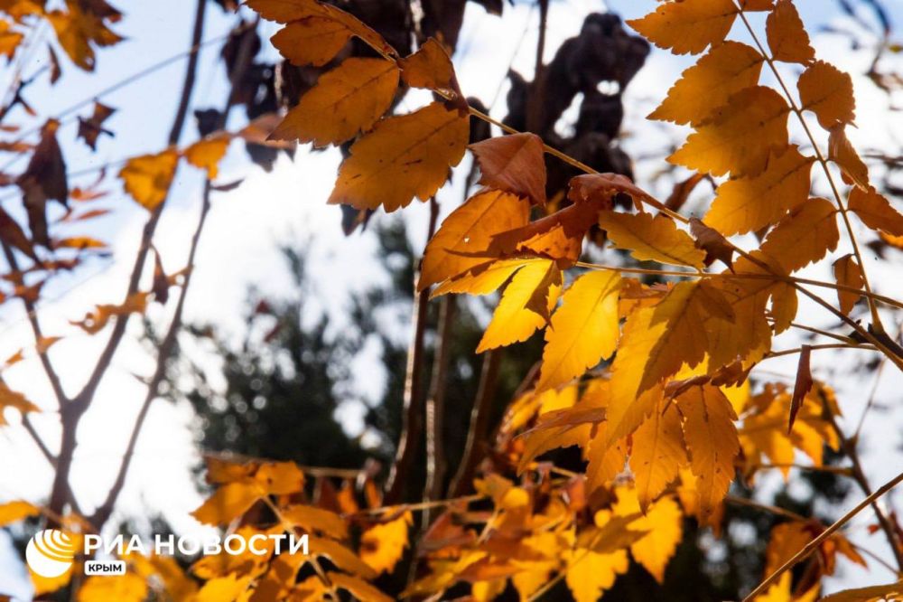 ������ �� ����� ����������� ������