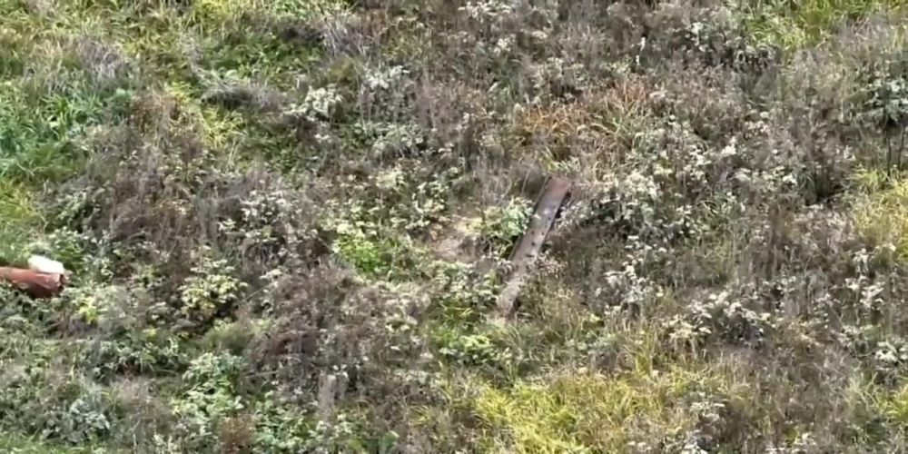 #����������� ������������ ������ ���������� �� ���������� ��� �������� ��� �������� � ����������� ��� ��������