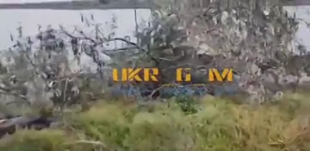 ����������� ���� ������� ������������ ������� ������ � ���������� �������