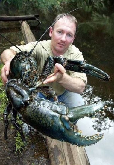 ���������� ���� ����� ���� ��� ���������� ��������� �� ������