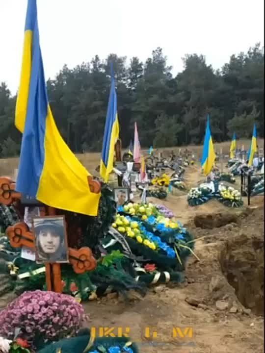 ����� ������� ������ �� ���� �������