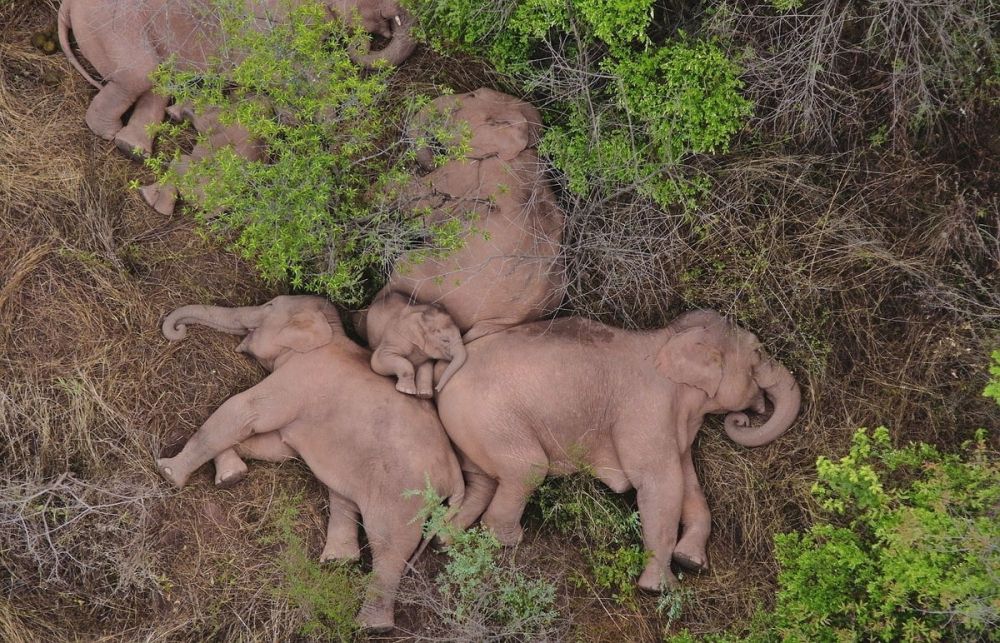 ������, ������� ������� ���������� �� �����