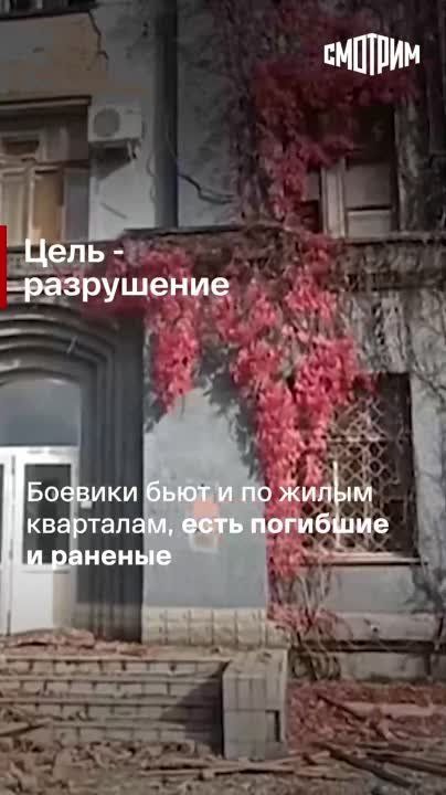 �������� ����� ������ � ���������� �������� ����� ���: