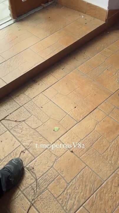 ������� ����������: �� ������ - �������. �� ������� �� ������� ���� ����� �����