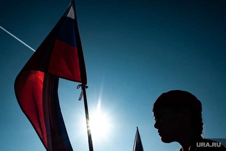 � ���������� ���������, ������ � ������� ������� ������ ���������� ����