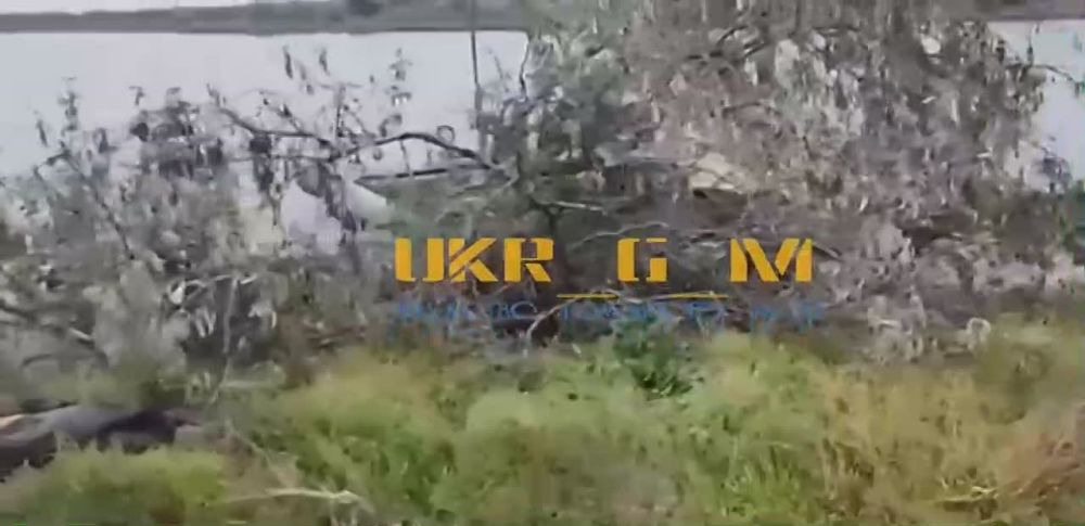 ������������������ �� ���������� � ������� ������� � ���� �� ������������� ���������� ������� ����� 28 ���������...