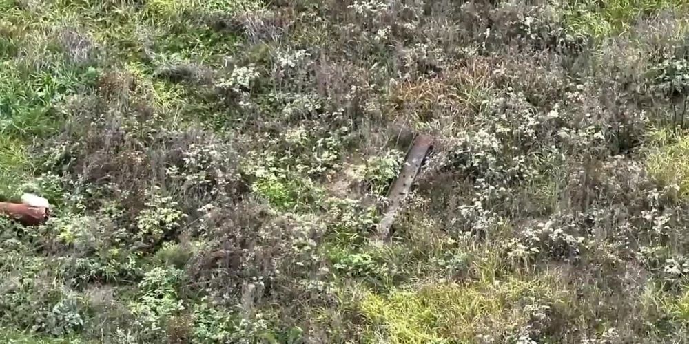 ����� �����: ��� � ����� �� �������� � �����������