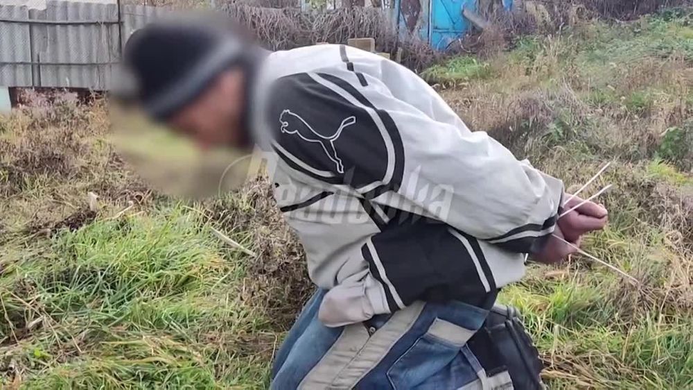 ��������� ����� ���������� ������ ����������-����� � ������ ������ � ������������ ����� Readovka � ����������� �����������