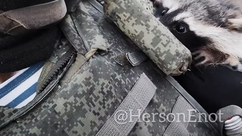 ���� ���������: ��, � �����.. �� ������ �����