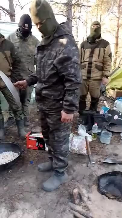 ������� ����������: ����� �������� � �������� �������������� 810