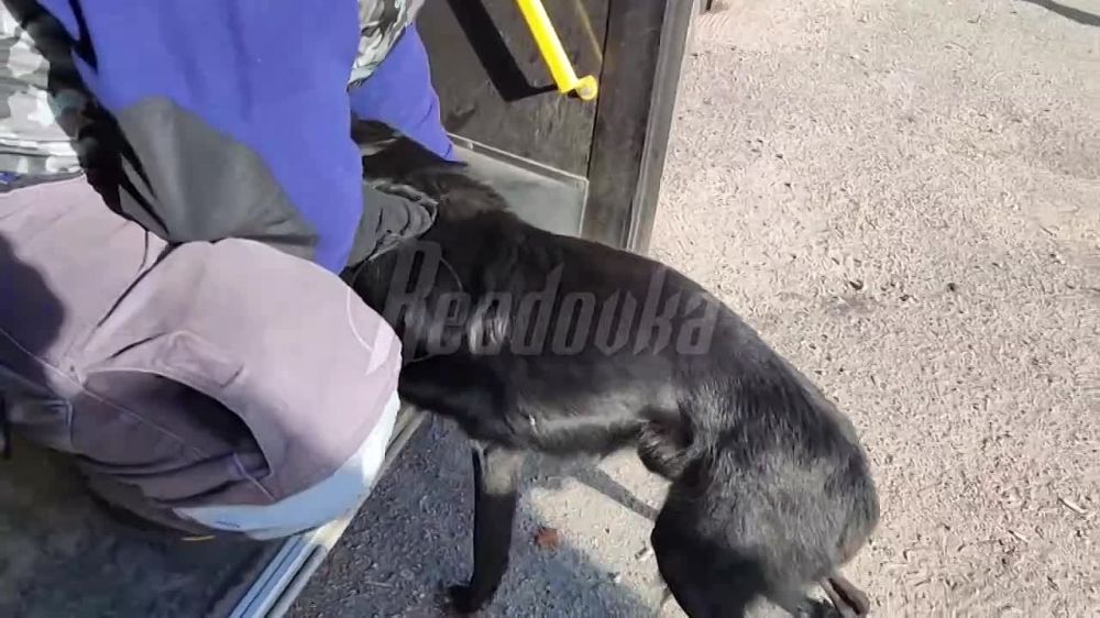 ������ ��� ���������� ����� � ������ ������������ ���������� ��������� ��������������