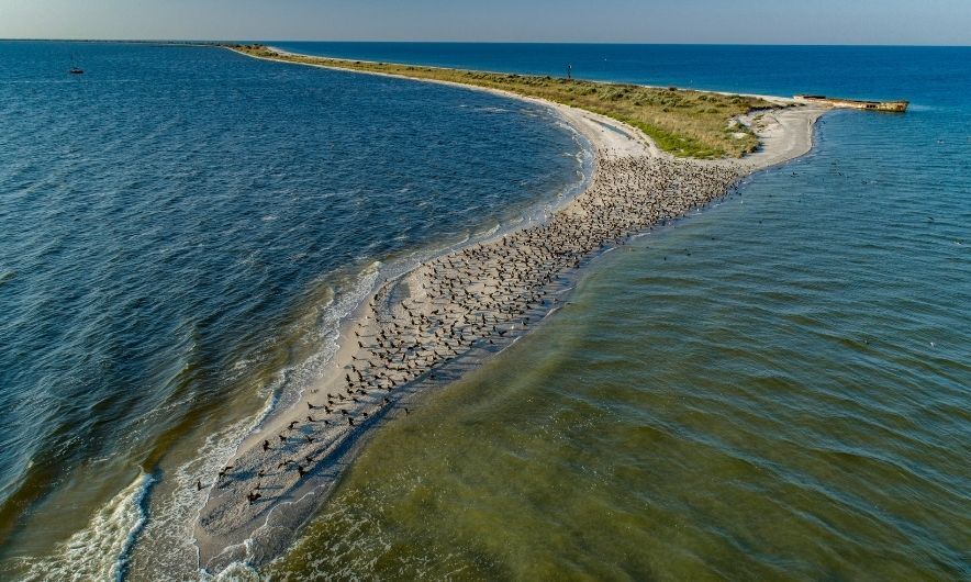 ��� ������� ����������� �� ����������� ����. ��� ������?