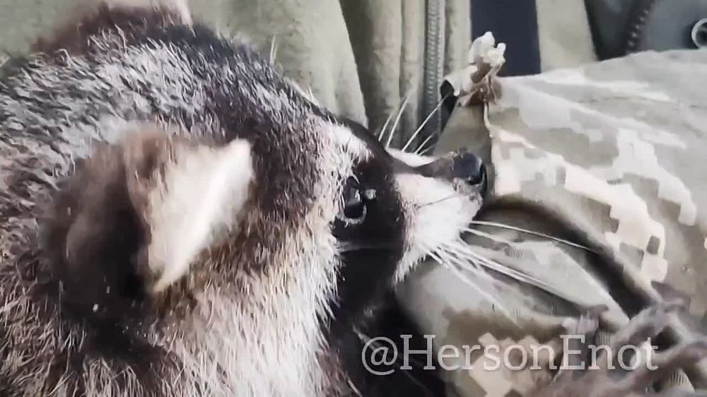 ������� ��������: ������ � ����������� ���� ����, ���� �����, �� �� ������ ������ ������� �����������, ������� ��� ��������� �� ������� � ����