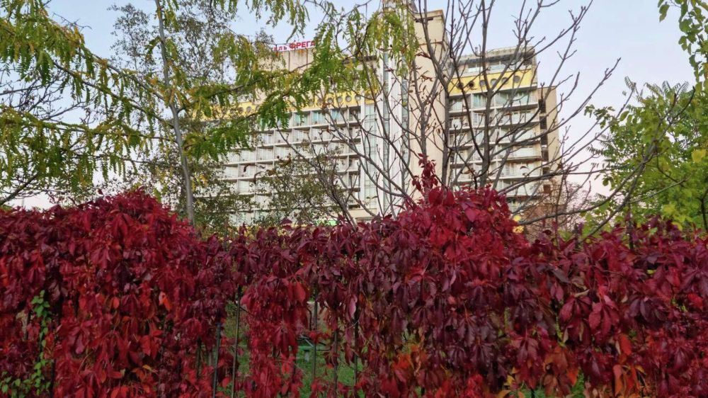 � ������ ����������� � ������� ���������� �������