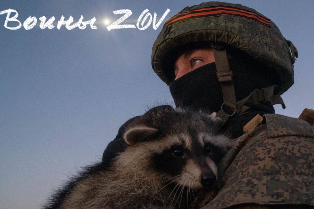 ���� ������ ���� �� ����� �����������