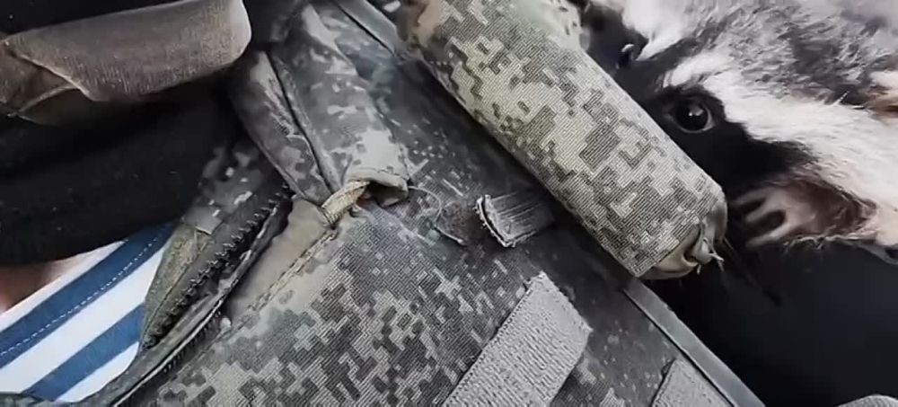 ���� �� ������� �������� ������