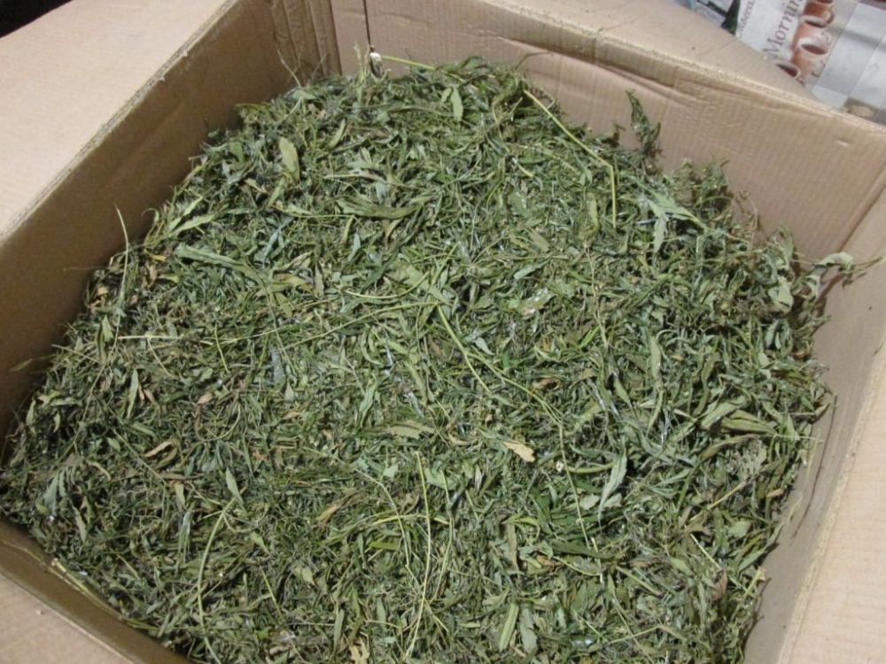 � ���������� ������������� ������ �� ���������� �������� ������������ ����������� ���������� 4 �� ���������