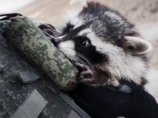 ��������� ����� ����������� �� ������� ����� � ������������