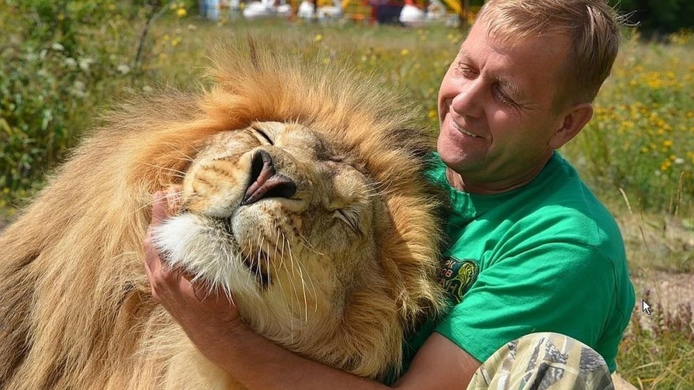 �������� � ������� �������: � �������� �������� ����������, ��� ��������� ���� �������������� �� ������� �������