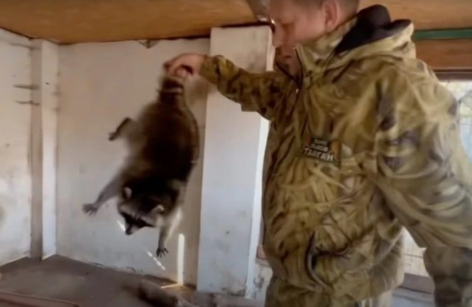 � �������� "�������" ����������, ��� ��������� ���� �������������� �� ������� �������