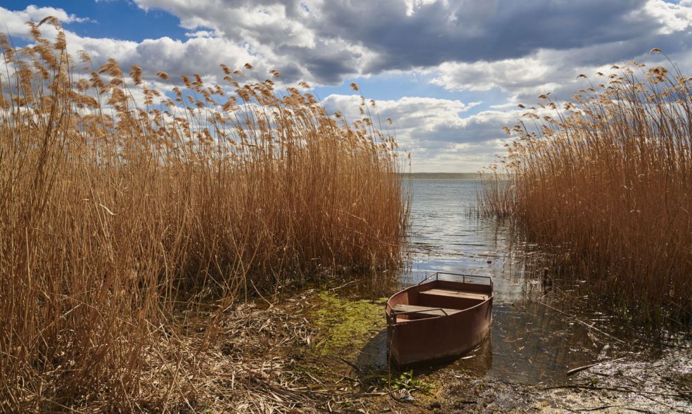 ������� ��������� �������. ���� ����� �������� ������ ������ �������� ����������