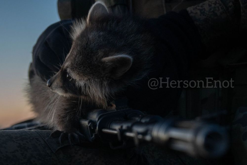 ������! ����� � ���� � ������������