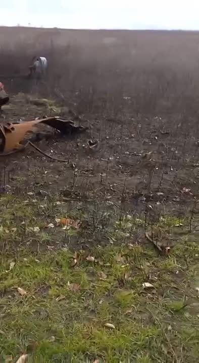 ����� ������ �� ����. ���������� �����������