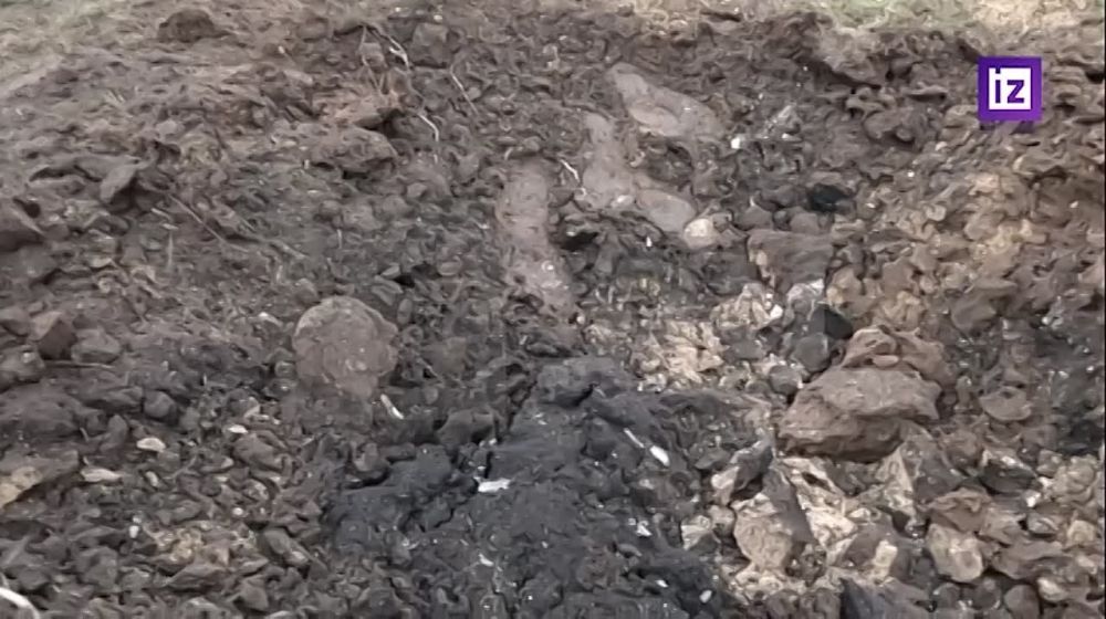 ��� ���������� ������������ ������ ����� �������