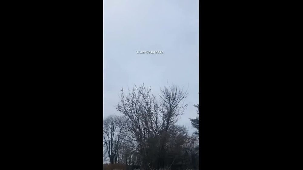 � �������� ������� ������ ��������