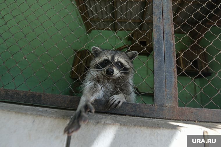 �������� ���������� ���������� �������� ������ ����������� �����