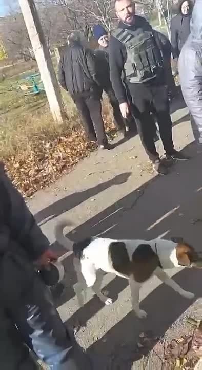 � ��� � ������ ������������� - ��������� ����, � ������ �����!