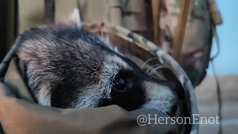 � ��� � ��������� �����. ���� � �������� ��� ����� � �����. ���� ������� ��� ��������� �������� ������. � ����� ���� ���������