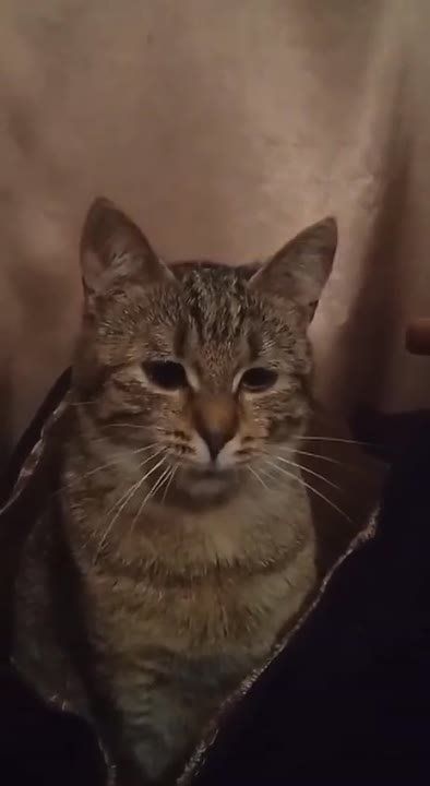 ��������� �������, ������� ���� ��������� �� ���������� ���� �������, ��������, ��������������� ������ ������������ ������� �� ����������