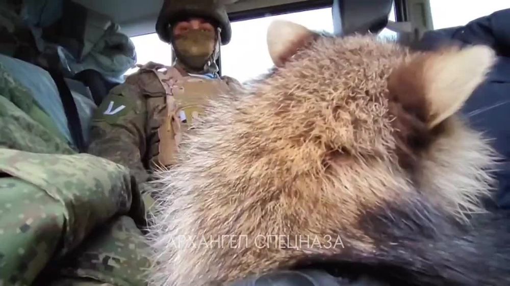 ������� ������� ����� ������� ����������� � ������ �������, ������ �� ��������� ��� � ���� � ��������!