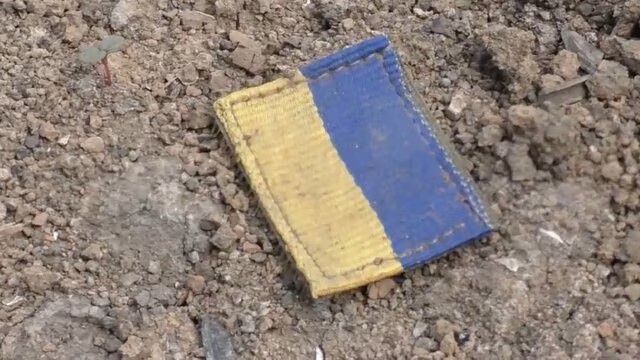 ������������ ������ �� ���������� ������������ ����������� �������������� 81-� ������������� ������� ��� �� ����� ��������� ������