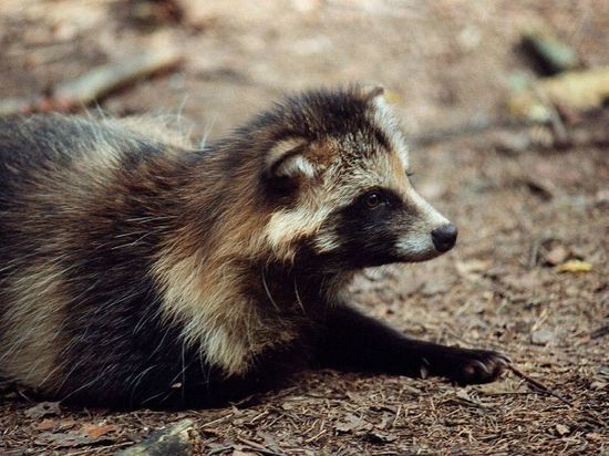 ������� ������ ��������� ����� �� ��������� ����������� �������� ������