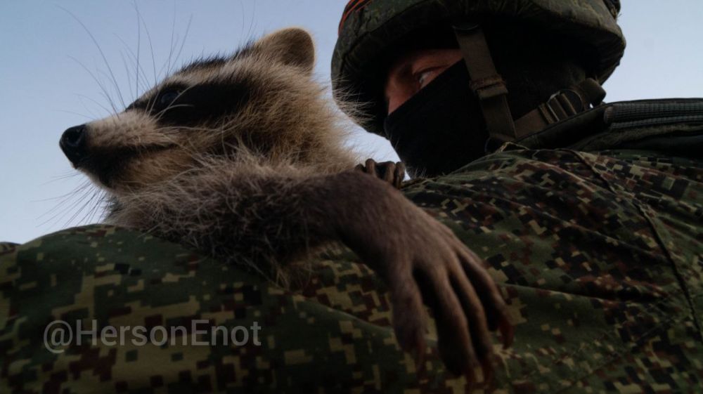 �������� ������ �� ����� �� �������