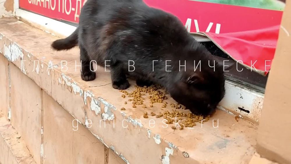 ������ ���������� �� ��������� � ������� �����, ������� ���-���� ������� ����