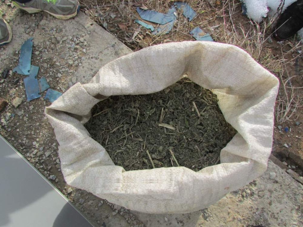 � ������������ ������������� ������ ����������� ���������� 7 �� ���������